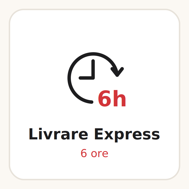 Livrare Express 6 ore