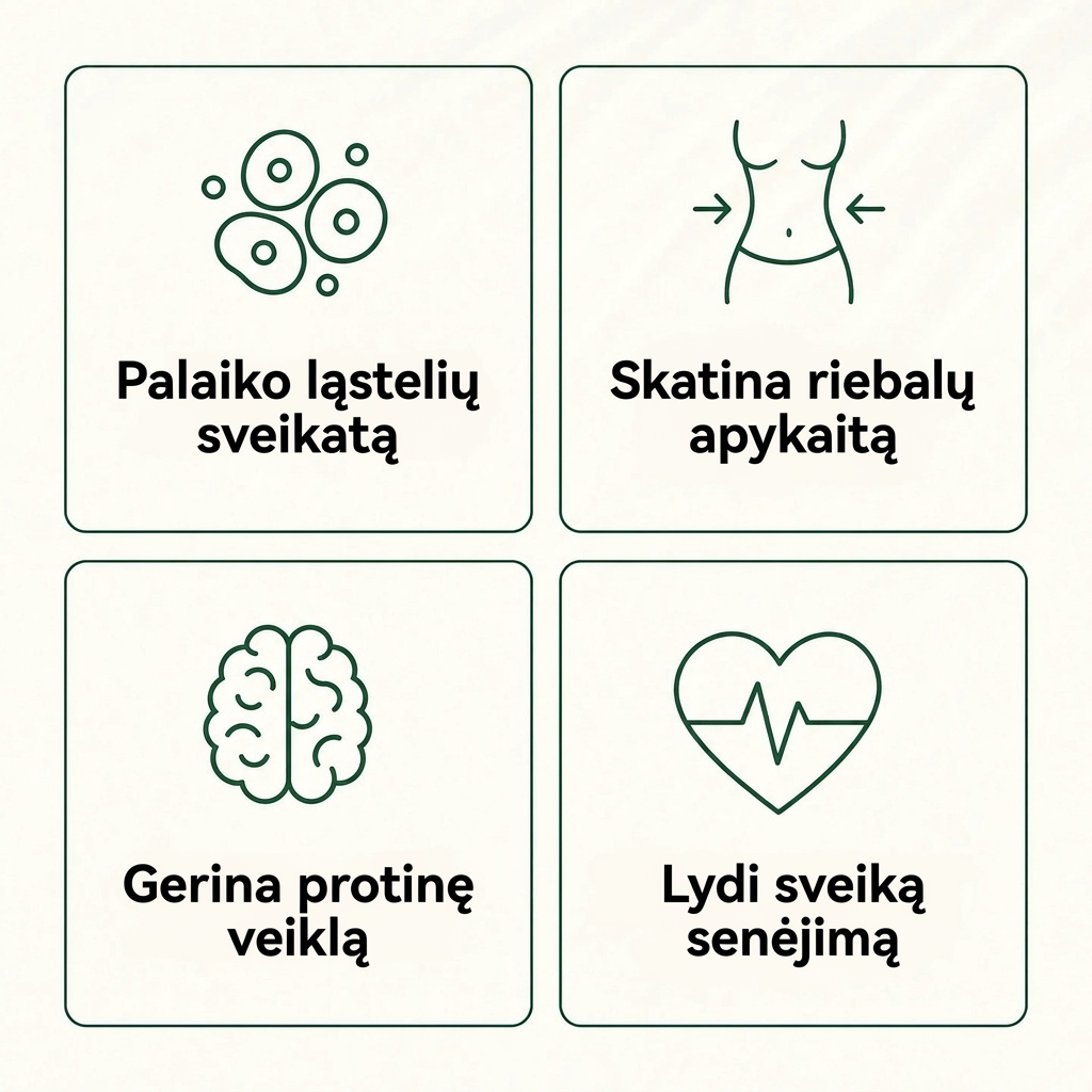Indický angrešt – superovocné kapsle
