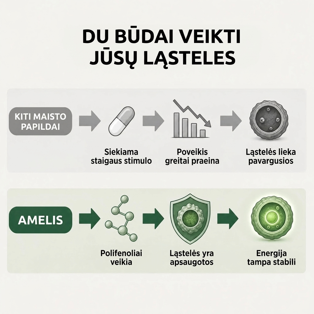 Indický angrešt – superovocné kapsle